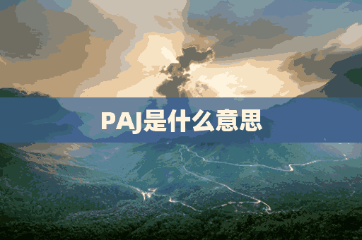 PAJ是什么意思(pajamas是什么意思)